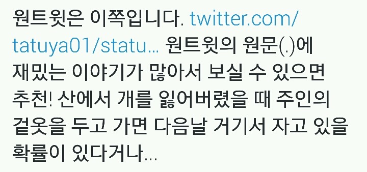 집고양이가 밖에 나가버렸을 때 가장 먼저 해야 하는 방법.twt | 인스티즈