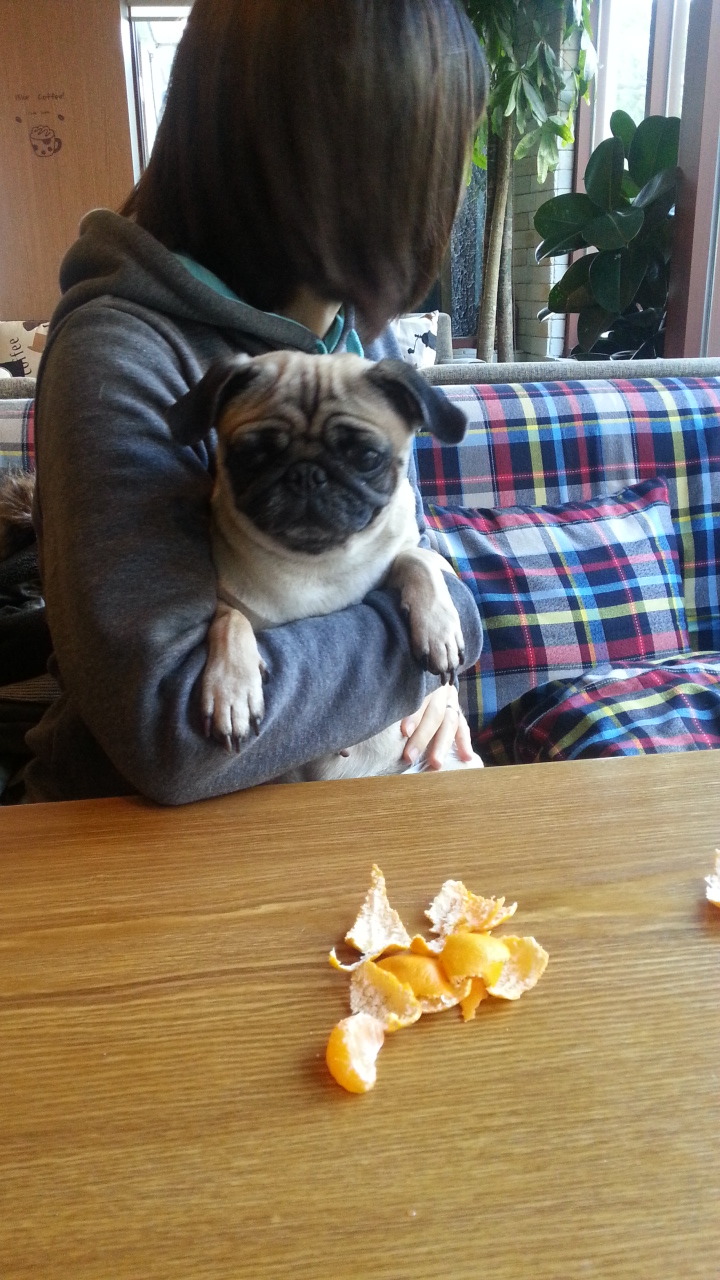 피델리오카페 이미지