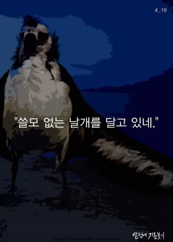 날개가 너무 커서 날지 못하는 새 | 인스티즈