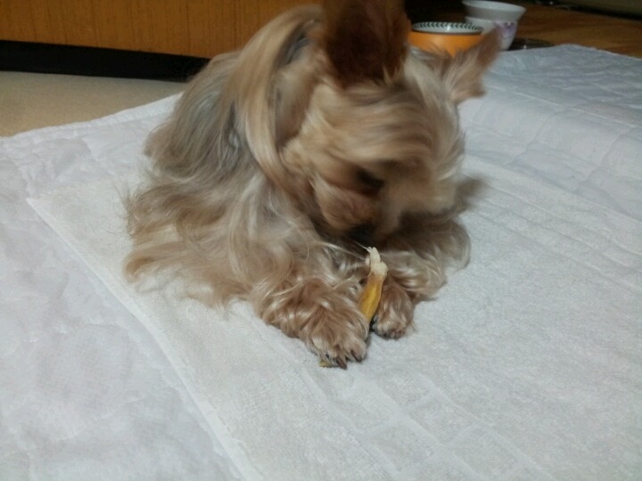 행복이네 이미지