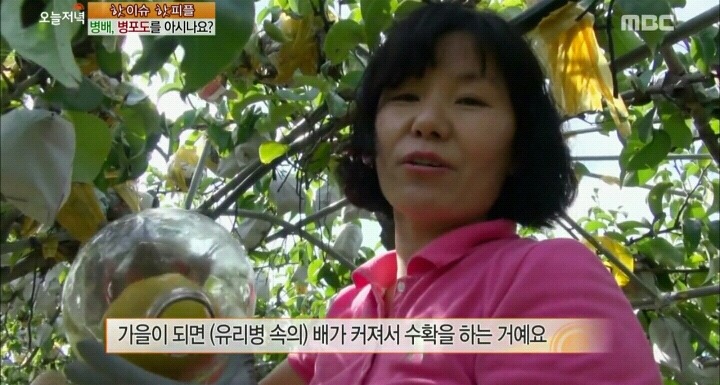신기한 병배.jpg | 인스티즈