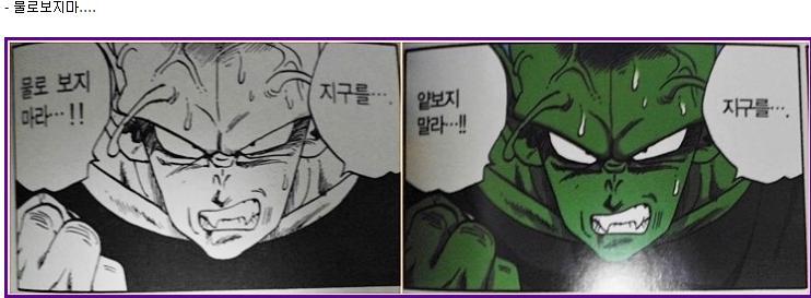 드래곤볼 매니아 중에서 신으로 불리우는 한국인 | 인스티즈
