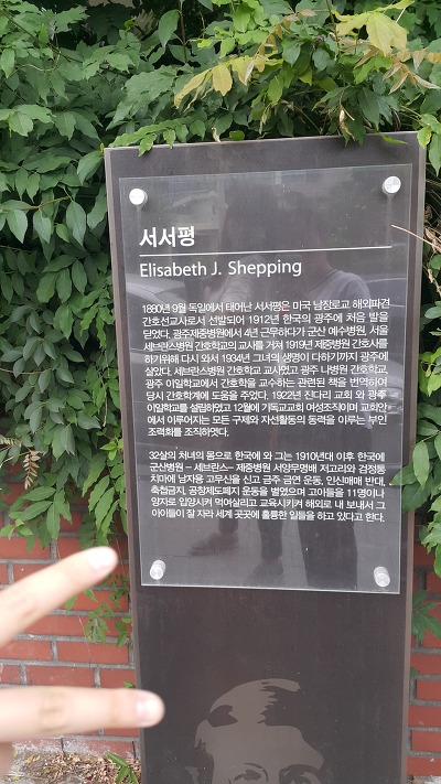김홍지 이미지