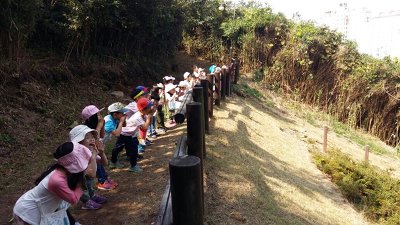 대죽도 유아숲체험원 이미지