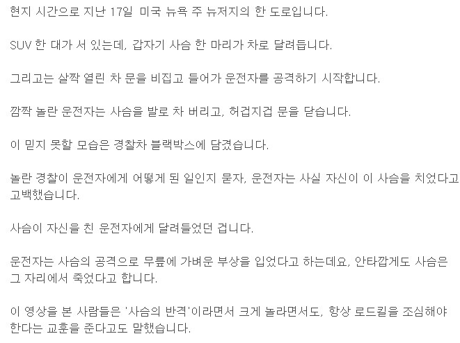 운전자를 공격한 사슴.gif | 인스티즈
