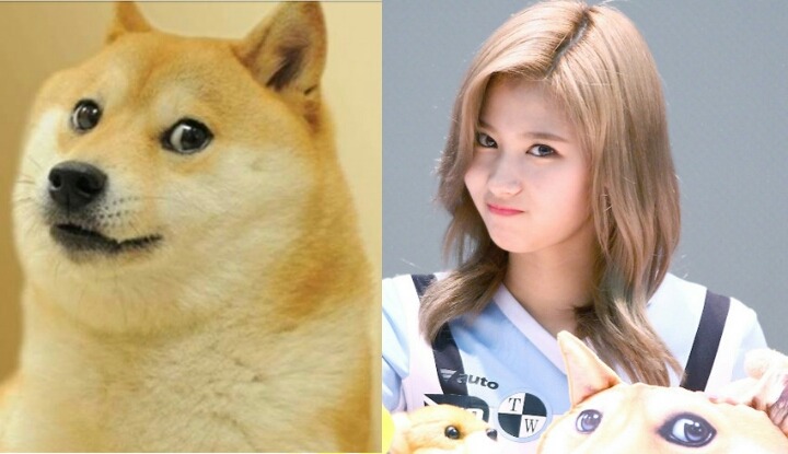 트와이스 사나 | 인스티즈