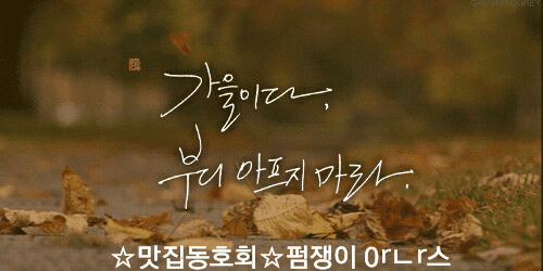 서울 한복판에서 즐기는 여의도 밤도깨비 야시장! | 인스티즈