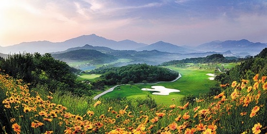 삼보환경개발 이미지