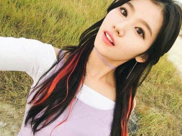 사나 시나 | 인스티즈