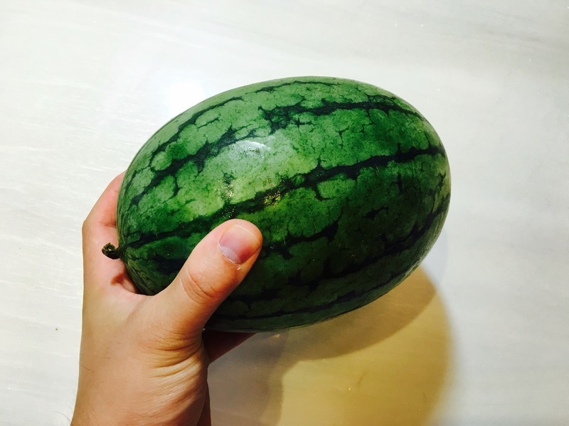 Daum카페