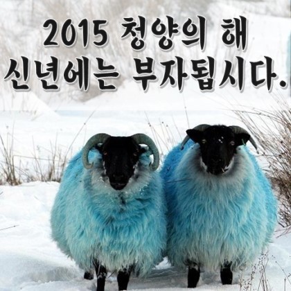 샛별로또 이미지