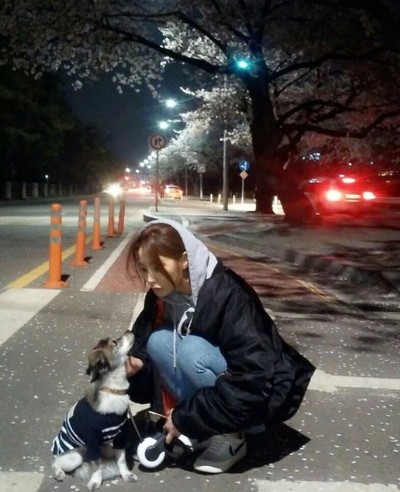 반려동물 사지 않고 입양한 연예인들.jpg | 인스티즈