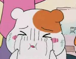 19이미지 원탑 아이돌.jpg | 인스티즈