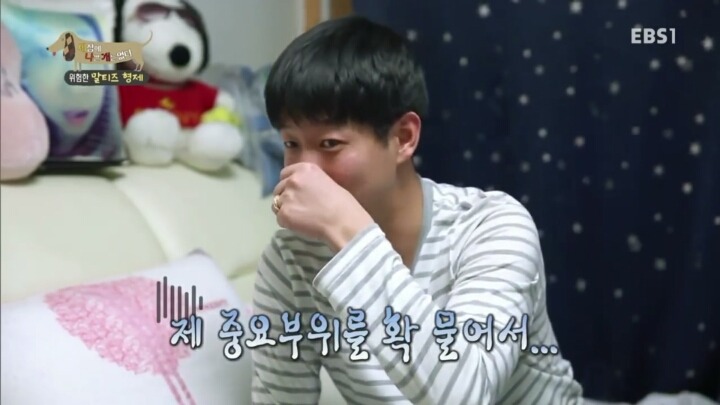 [세나개] 공격적인 반려견이 되는 이유 1부.jpg | 인스티즈
