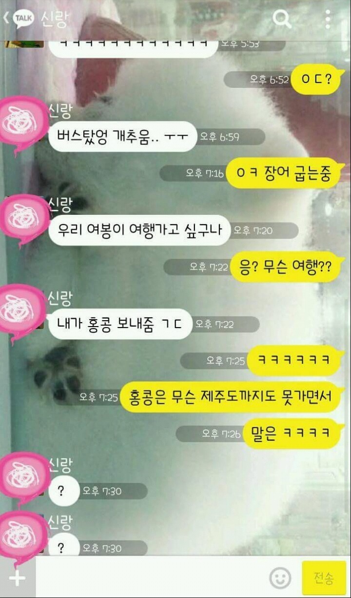 제주도도 못 가는 신랑 | 인스티즈