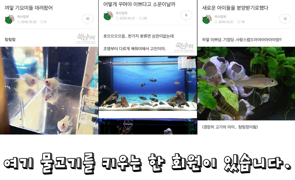 비글들의 쑥스러운 캡쳐-20 | 인스티즈