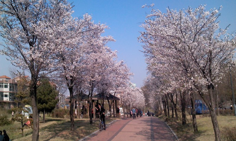 목연 이미지