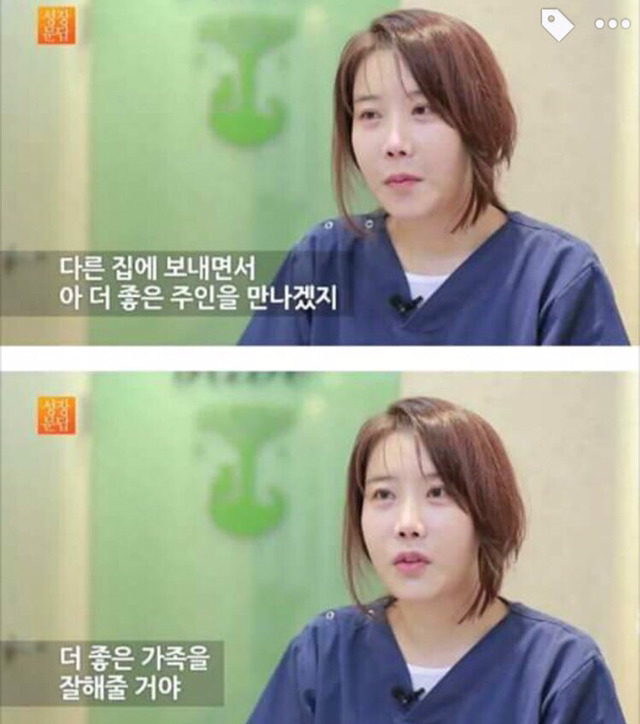 강아지나 고양이를 키우려는 사람들에게 | 인스티즈