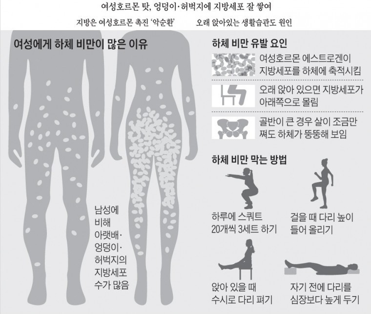 여자들이 하체 비만이 많은 이유 | 인스티즈
