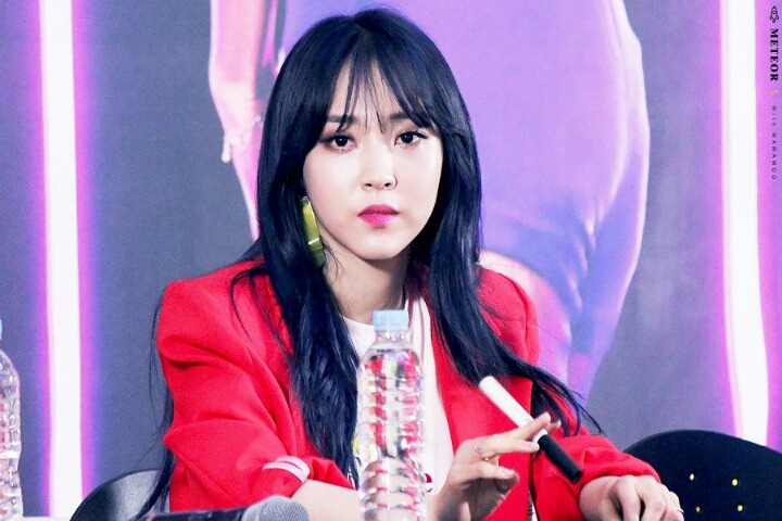 별콩 이미지