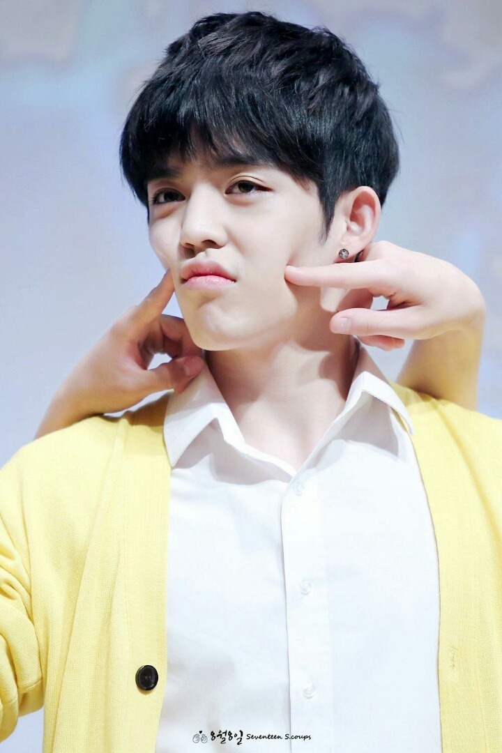 쿱스 이미지