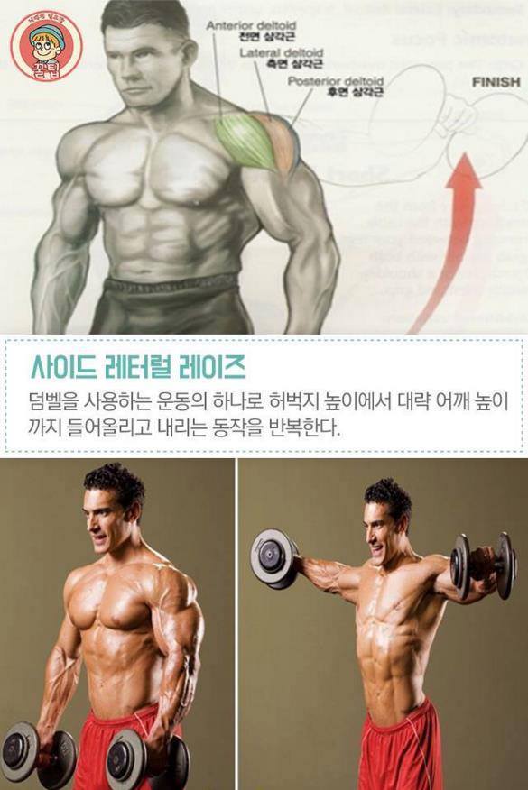 어깨 넓어지는 운동법.jpg | 인스티즈