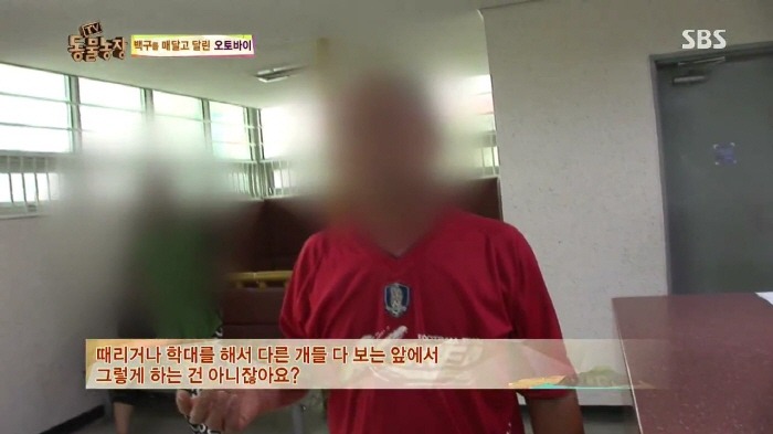 [TV동물농장] 동물농장에서 방송된 인천의 한 개 도축장의 현실.jpg | 인스티즈