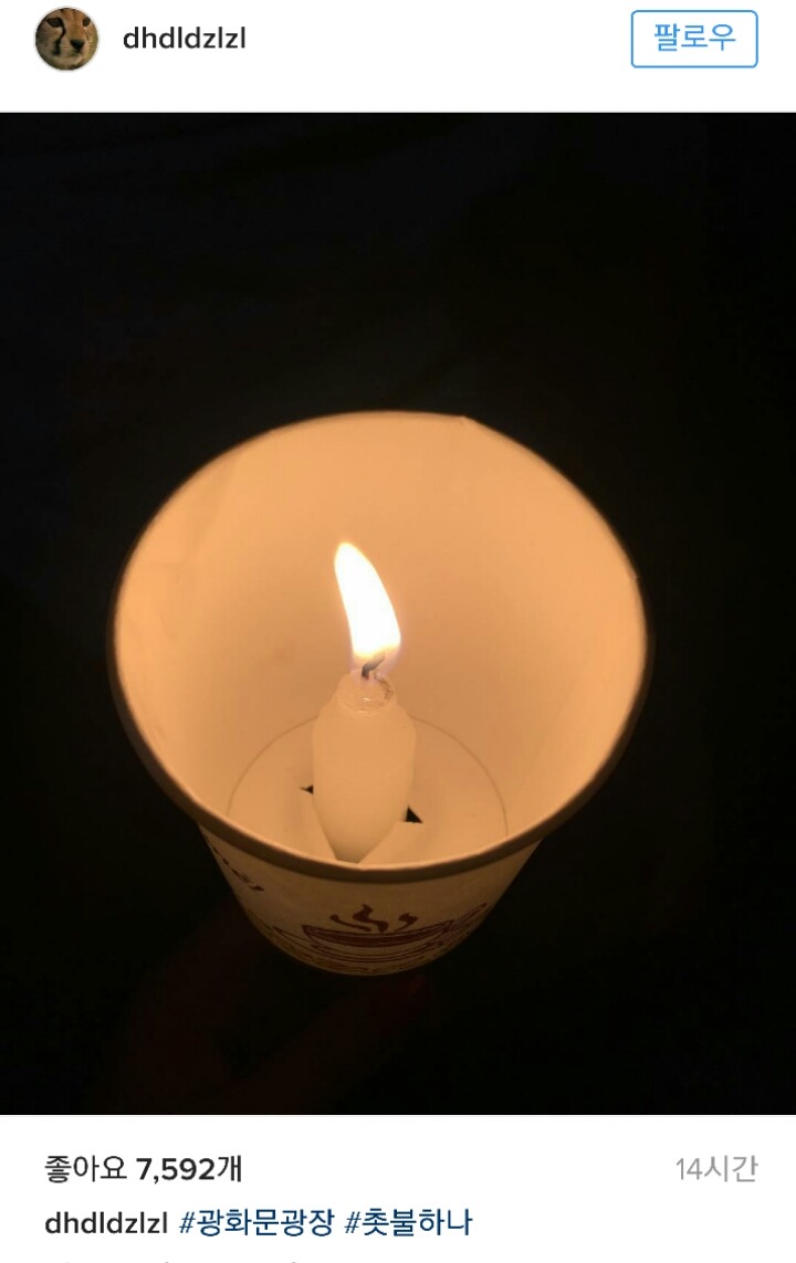 어제자 촛불시위 참가한 연예인들 | 인스티즈