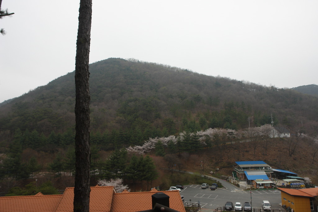 칠갑산자연휴양림 이미지