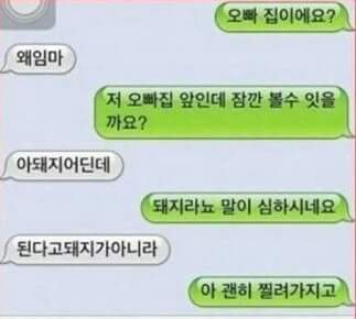웃기는 문자 모음 | 인스티즈