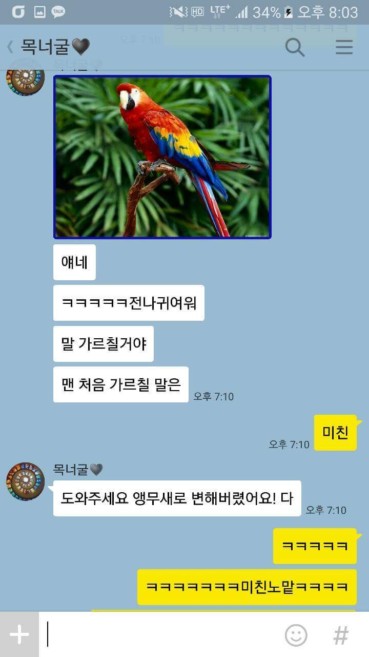 앵무새에게 가르칠 말.jpg | 인스티즈