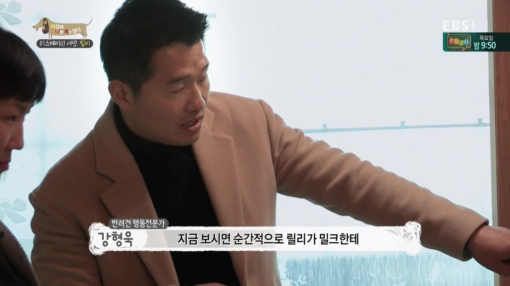 [세상에나쁜개는없다] 가족들에게 짖고 무는 강아지 릴리햏 | 인스티즈