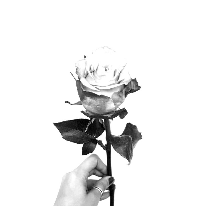 비오고 우울한 날 프사, 인스타용 꽃 모음 | 인스티즈
