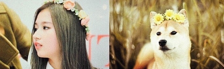 은 사나.jpgif | 인스티즈