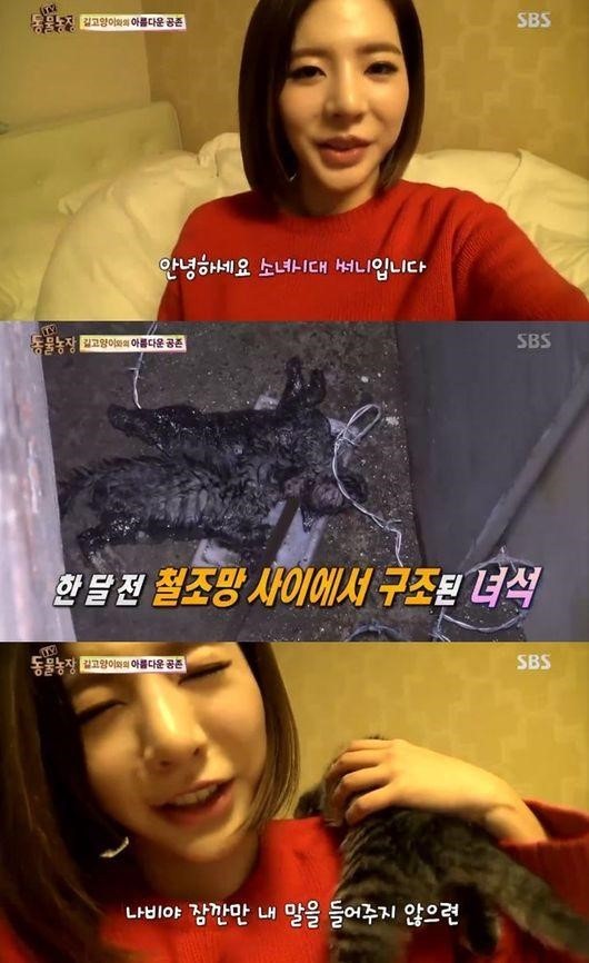 연예인들의 특이한 선행 모음 | 인스티즈
