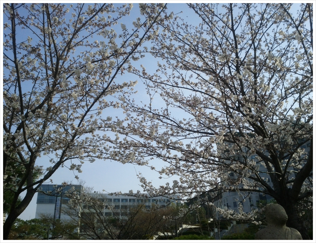 용당구장 이미지