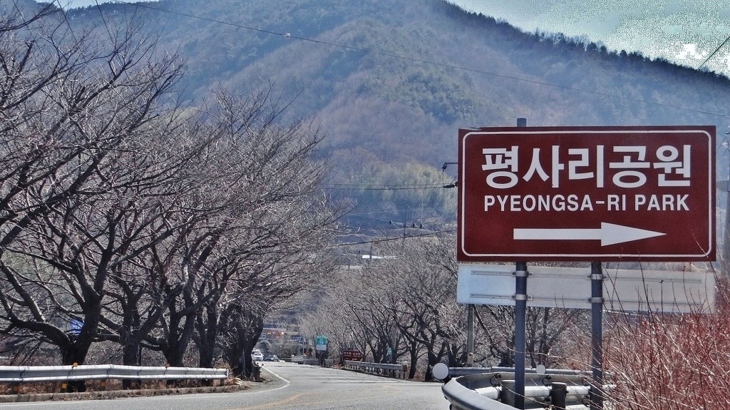 공원갈매기 이미지