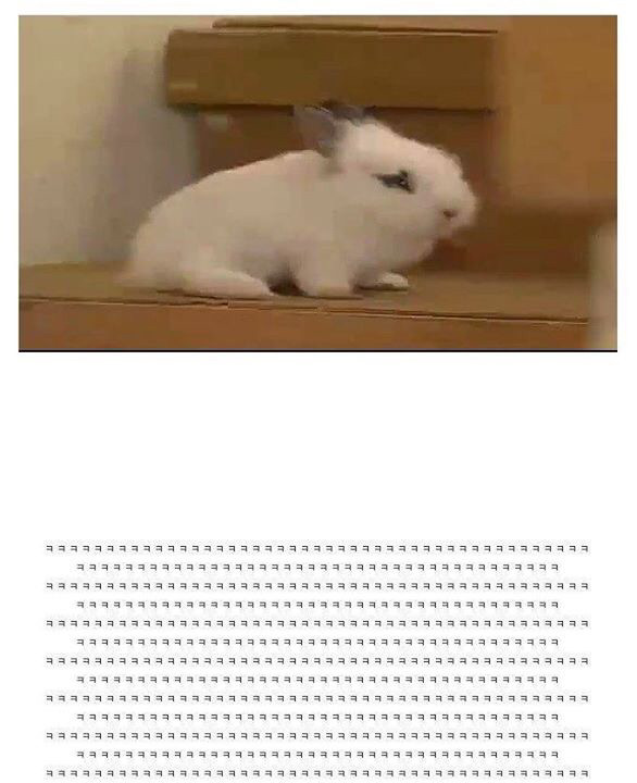 레전드 토끼사건 | 인스티즈