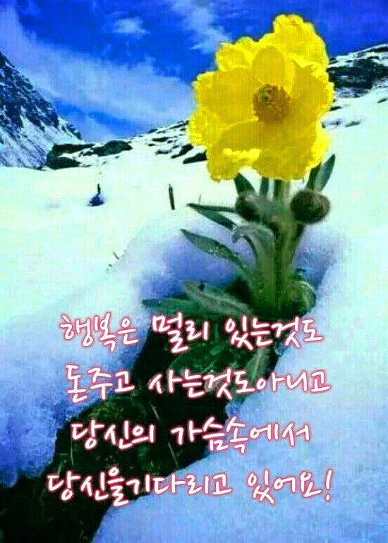 마음 이미지