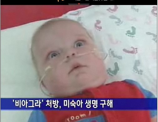 살리다 이미지