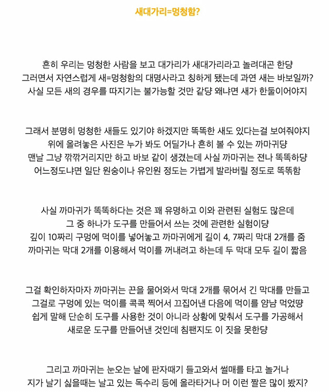 이과생 유머 몇가지 | 인스티즈