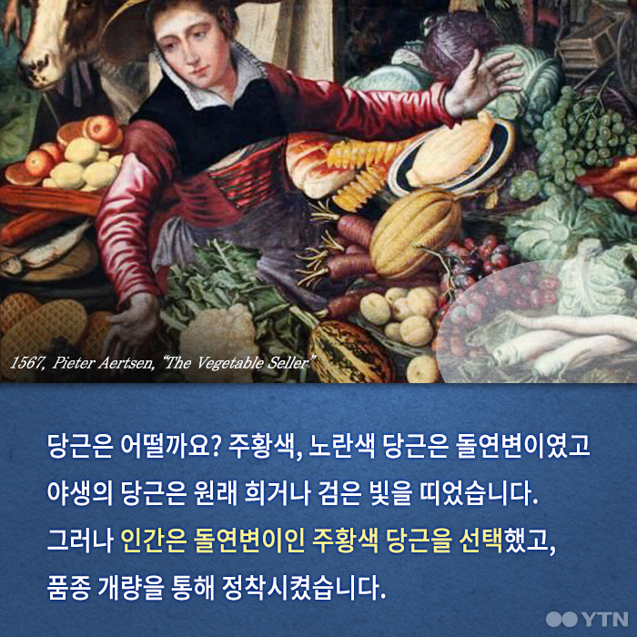 당신이 모르는 수박의 숨겨진 과거 | 인스티즈