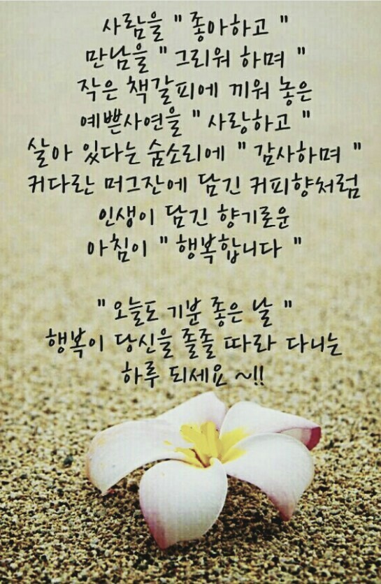 기분좋은날 이미지