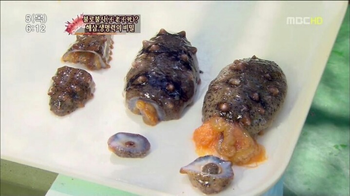 해삼의 미스테리.jpg | 인스티즈