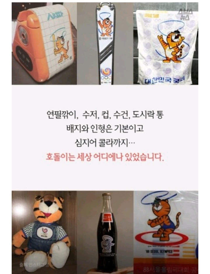 다시는 호돌이를 무시하지마라 | 인스티즈