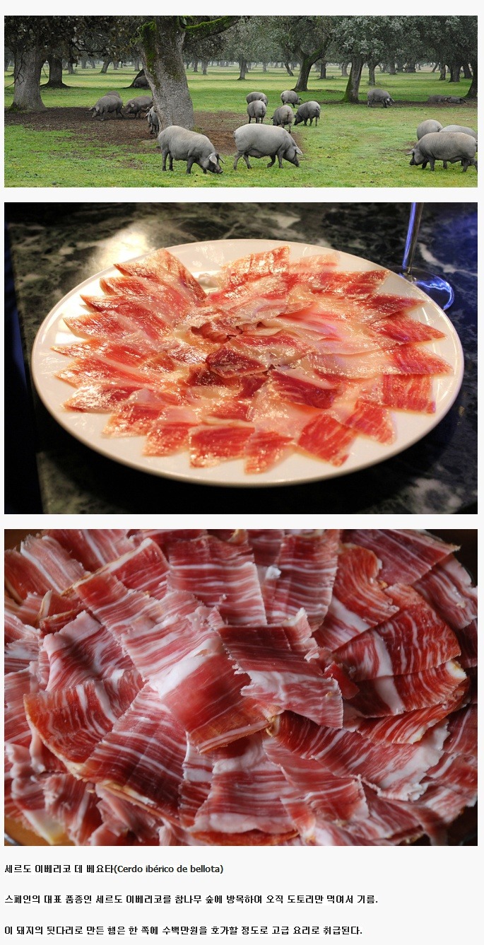 세계에서 가장 맛있는 돼지고기 | 인스티즈