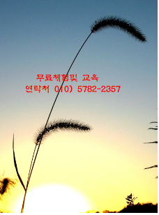 무통약손 이미지