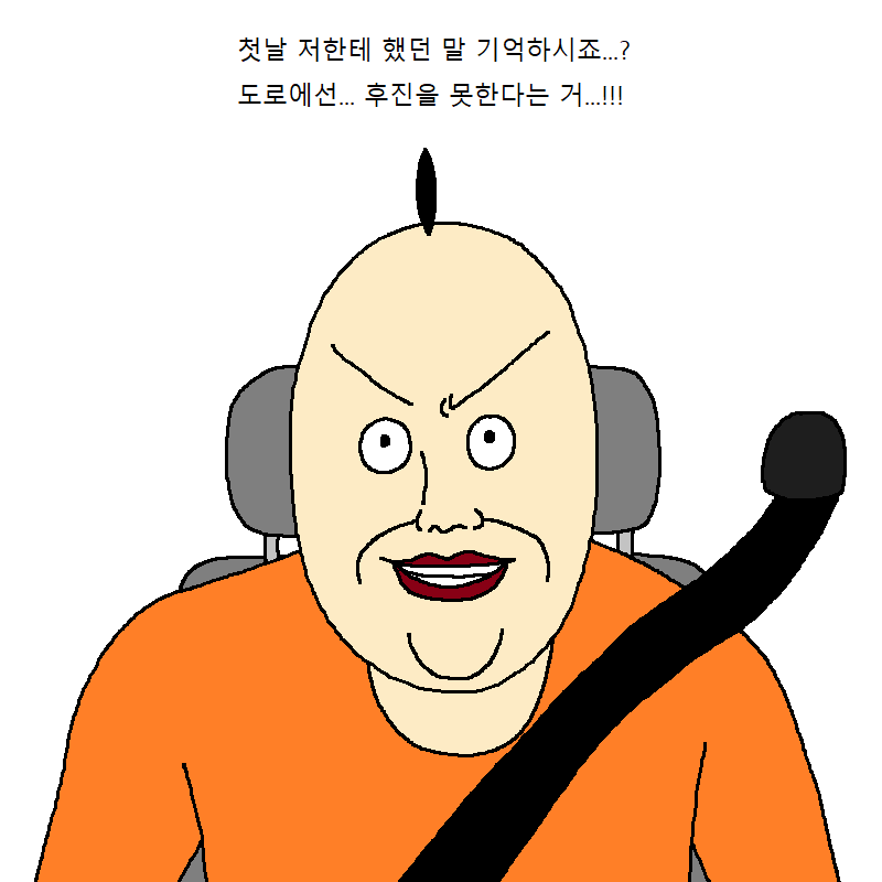 운전학원에서 운전교육 받는 만화.jpg | 인스티즈