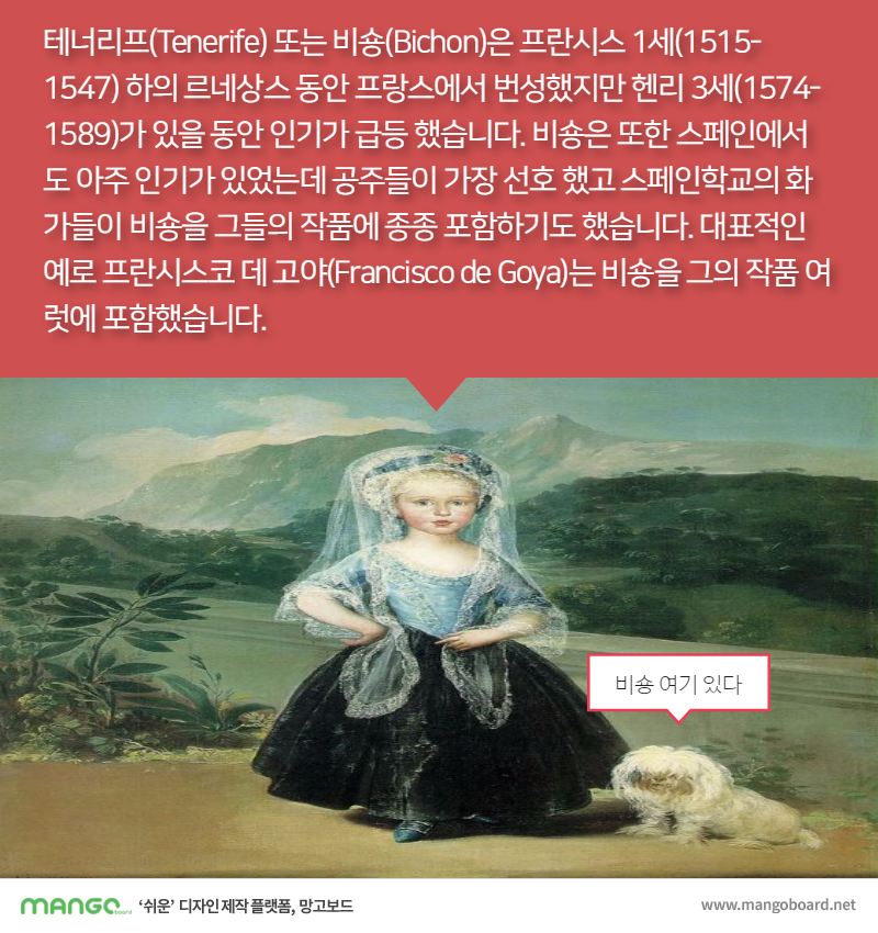 [견종정보] 비숑 프리제 이야기 | 인스티즈