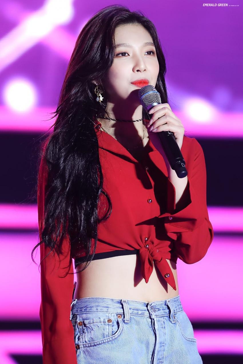 피버 페스티벌 레드벨벳 | 인스티즈